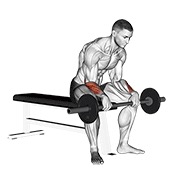 barbell revers wrist curl v. 2