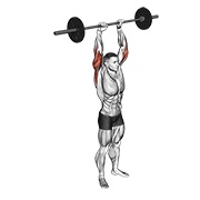 barbell standing overhead triceps extension