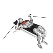 cable bench press