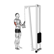 pushdown del cavo (con attacco per fune)