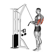 pushdown con presa inversa del cavo