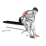 cable seated rear lateral raise