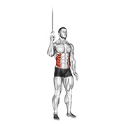 cable side crunch