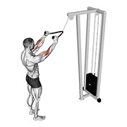 Pulldown in piedi al cavo (con corda)