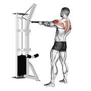 cable standing rear delt row (with rope)