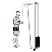 Pushdown per tricipiti ai cavi (v-bar)