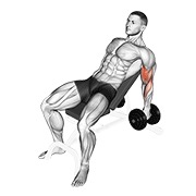 dumbbell incline hammer curl