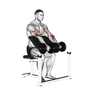 dumbbell reverse preacher curl