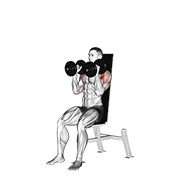 dumbbell seated shoulder press (parallel grip)