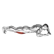 lying (side) quads stretch