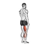 standing single leg curl