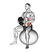 weighted seated twist (on stability ball)