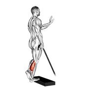 band single leg calf raise