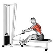cable rope elevated seated row