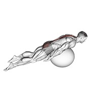 exercise ball back extension with knees off ground