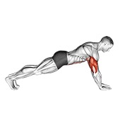 flexiones en los antebrazos