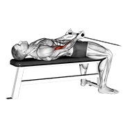 cable lying bicep curl