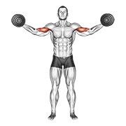 dumbbell high curl