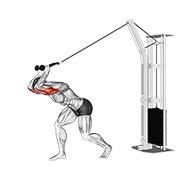 cable high pulley overhead tricep extension