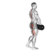 dumbbell single leg deadlift
