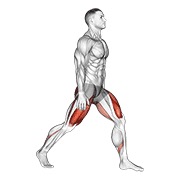 split squats