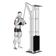 Pushdown ai cavi per tricipiti (v-bar) (con arm blaster)