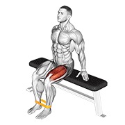 resistance band leg extension