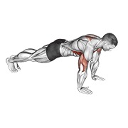 flexiones más