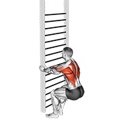 bodyweight squatting row