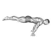 tam planche