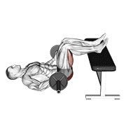 barbell glute bridge two legs on bench (male)
